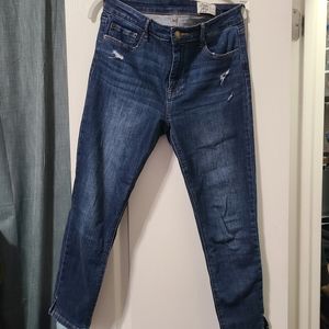 Cosmic Blue Love Jean Size 29